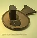 Yopo.