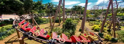 Young Star Coaster