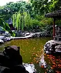 Bassin contenant des poissons