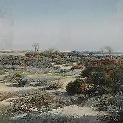 Paysage de Camargue