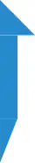 Drapeau complet zurichois.