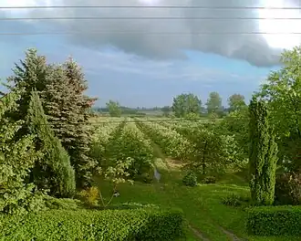 Zabostów Mały