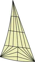 coupe triradiale