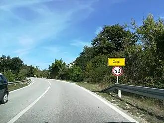 Zajci