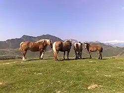 Ütziagaña.