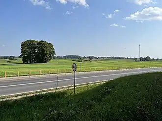 Zalec