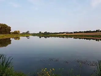 Skorczyce