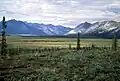 Zane Hills