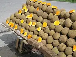 Fruits
