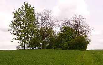 Zaraszów-Kolonia