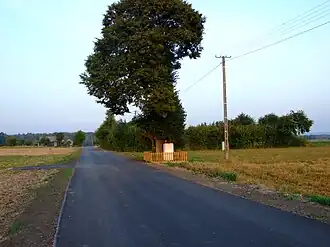 Zastawie-Kolonia