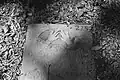 Tombe d'un Cohen