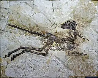 Description de cette image, également commentée ci-après