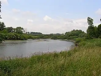 l'Escault à Hamme ;