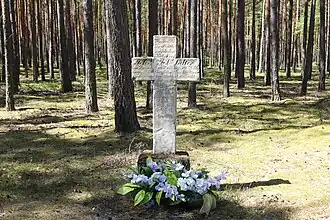 Jeleniów (Lubusz)