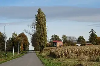 Zielona (Lublin)