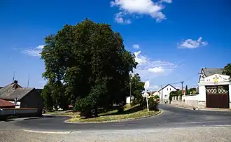 Žilov