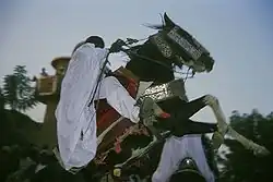 Cavalier sur un cheval dressé debout.