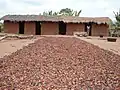 Fèves de cacao en train de sécher, à Ziplignan, dans la région du Gôh.