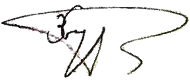 signature de Ziya Bunyadov