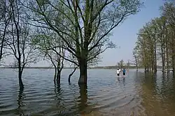 Zone alluviale de Lonjsko Polje en crue