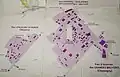 zones d'activités de la COPAMO