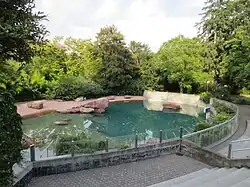 Bassin des otaries.