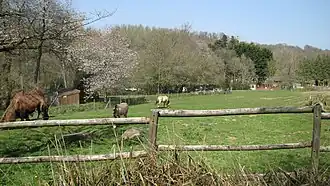 Image illustrative de l’article Zooparc de Trégomeur