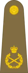 Image illustrative de l’article Field marshal (Royaume-Uni)