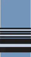 Image illustrative de l’article Air marshal