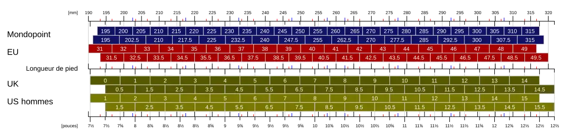 ISO/TS 19407