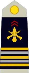 Image illustrative de l’article Lieutenant-colonel (France)