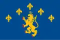 Drapeau de Raïon de Lviv