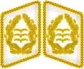 Image illustrative de l’article General der Fallschirmtruppe