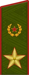 Image illustrative de l’article Général d'armée (Russie)
