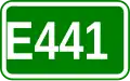 Route européenne 441
