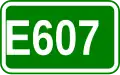 Route européenne 607
