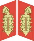 Image illustrative de l’article General der Infanterie