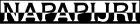 logo de Napapijri