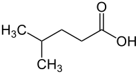 Image illustrative de l’article Acide isocaproïque