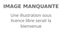 Image illustrative de l’article Allen Bunting