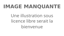 Image illustrative de l’article Vincent Mendy