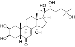 Image illustrative de l’article Ecdystérone
