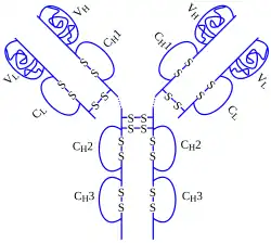 Image illustrative de l’article Adalimumab