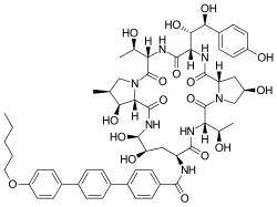 Image illustrative de l’article Anidulafungine