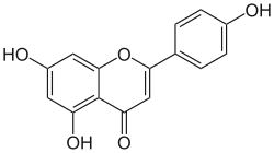 Image illustrative de l’article Apigénine