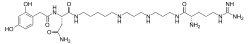 Image illustrative de l’article Argiotoxine