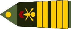 Image illustrative de l’article Colonel (France)