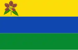 Drapeau de San Rafael de Onoto