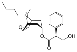 Image illustrative de l’article Butylscopolamine